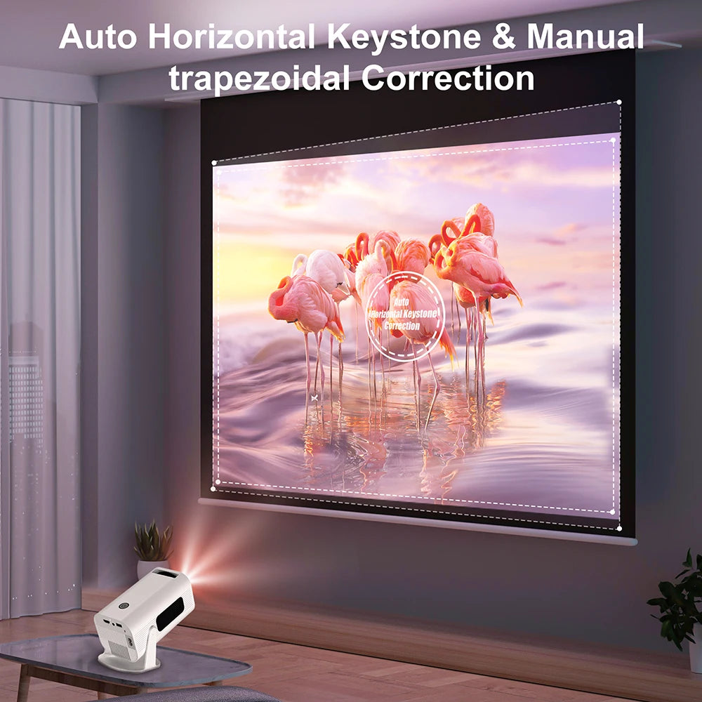 Salange P330 מקרן